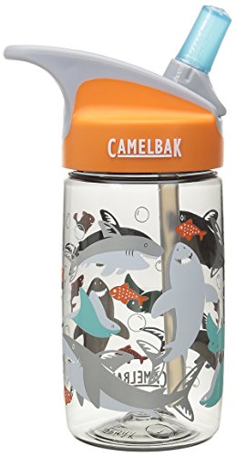 camelbak shark water bottle