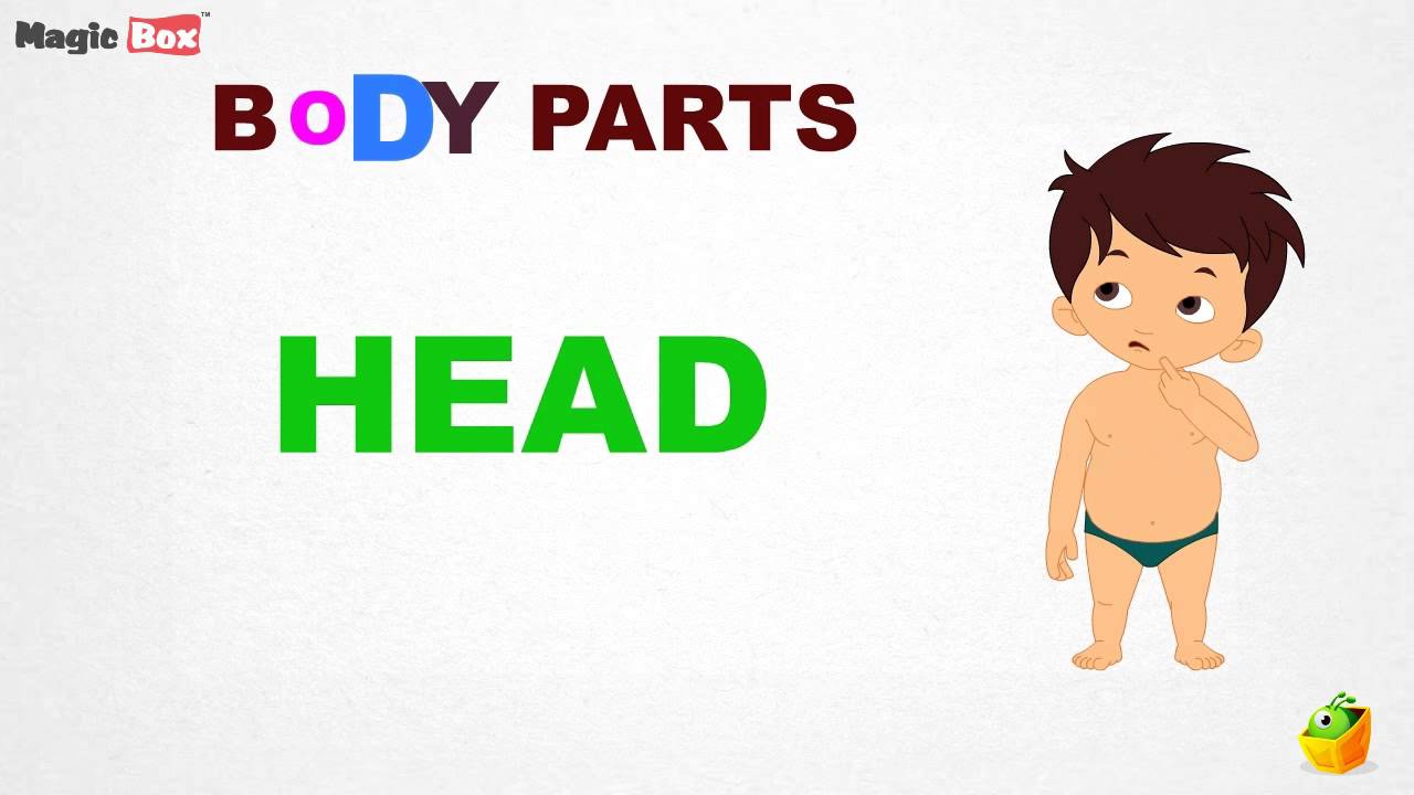 Body parts video. Kids Box body Parts. Head Shoulders Knees and Toes раскраска. Kids Box 1 body.